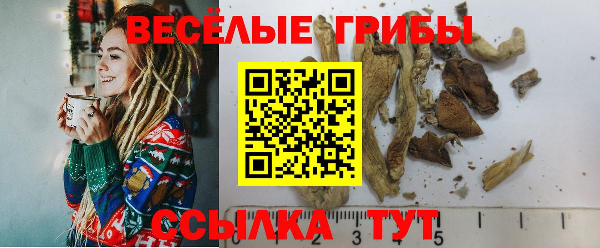 Галлюциногенные грибы GOLDEN TEACHER Урус-Мартан